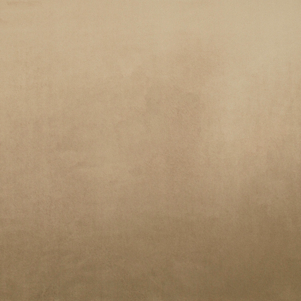 Tailored Leisure Almond by Europatex Designer Fabric Tailored 100% Polyester 0.00" 55.00 inches - Swanky Fabrics -