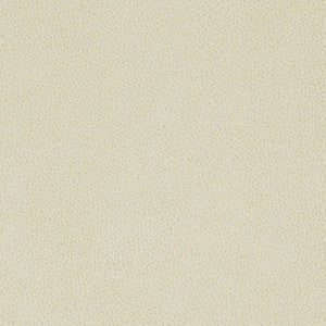 Nassimi Fabric Tolstoy Alpaca