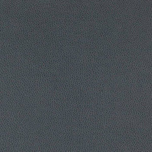 Nassimi Fabric Tolstoy Asphalt