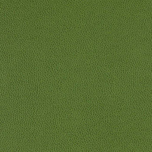 Nassimi Fabric Tolstoy Celtic