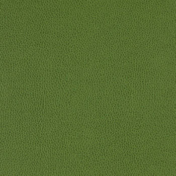 Tolstoy Celtic WTL-003 by Nassimi Designer Fabric See sample 100% Polyurethane USA or Imported Water-based cleaning agents and foam may be used for cleaning. Cleaning by a professional cleaning service is recommended.  54  - Swanky Fabrics -