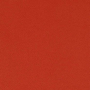 Nassimi Fabric Tolstoy Crimson
