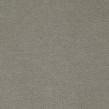 Tolstoy Flintstone WTL-007 by Nassimi Designer Fabric See sample 100% Polyurethane USA or Imported Water-based cleaning agents and foam may be used for cleaning. Cleaning by a professional cleaning service is recommended.  54  - Swanky Fabrics -