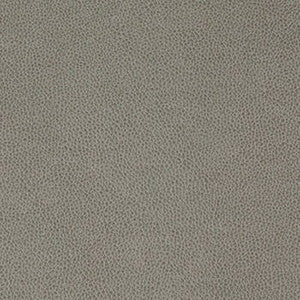 Nassimi Fabric Tolstoy Flintstone