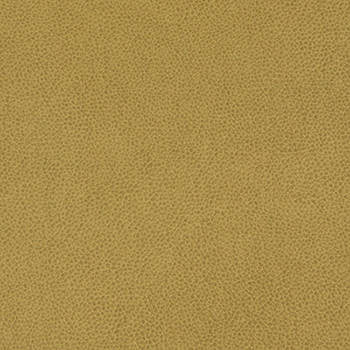 Tolstoy Hazel WTL-009 by Nassimi Designer Fabric See sample 100% Polyurethane USA or Imported Water-based cleaning agents and foam may be used for cleaning. Cleaning by a professional cleaning service is recommended. </p><p>Repeat: Horizontal: and Vertical: 54" - Swanky Fabrics -