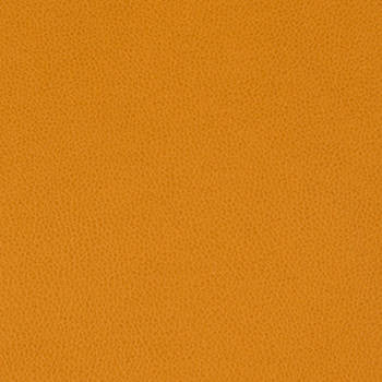 Tolstoy Kumquat WTL-010 by Nassimi Designer Fabric See sample 100% Polyurethane USA or Imported Water-based cleaning agents and foam may be used for cleaning. Cleaning by a professional cleaning service is recommended. </p><p>Repeat: Horizontal: and Vertical: 54" - Swanky Fabrics -