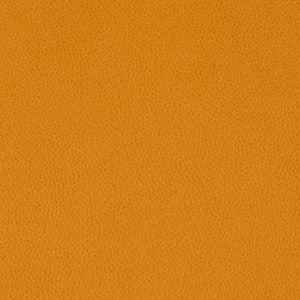 Nassimi Fabric Tolstoy Kumquat