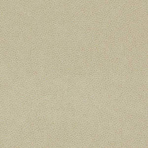 Nassimi Fabric Tolstoy Parchment