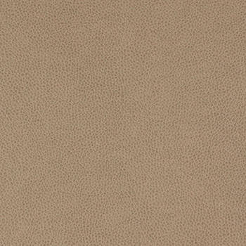 Tolstoy Quarry by Nassimi Designer Fabric See sample 100% Polyurethane  250000 Horizontal: Not Applicable and Vertical: Not Applicable 54"  - Swanky Fabrics -