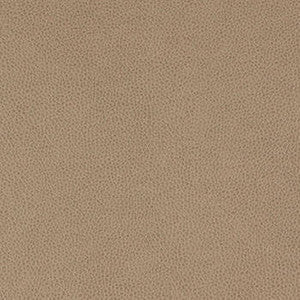 Nassimi Fabric Tolstoy Quarry