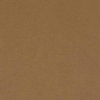 Tolstoy Ram WTL-013 by Nassimi Designer Fabric See sample 100% Polyurethane USA or Imported Water-based cleaning agents and foam may be used for cleaning. Cleaning by a professional cleaning service is recommended. </p><p>Repeat: Horizontal: and Vertical: 54" - Swanky Fabrics -