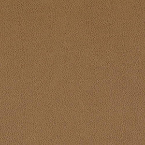 Nassimi Fabric Tolstoy Ram