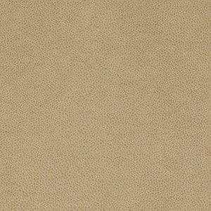 Nassimi Fabric Tolstoy Rye