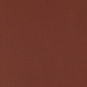 Nassimi Fabric Tolstoy Syrah