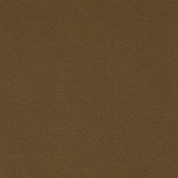 Tolstoy Timber WTL-016 by Nassimi Designer Fabric See sample 100% Polyurethane USA or Imported Water-based cleaning agents and foam may be used for cleaning. Cleaning by a professional cleaning service is recommended. </p><p>Repeat: Horizontal: and Vertical: 54" - Swanky Fabrics -
