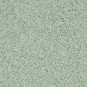 Tolstoy Vista WTL-017 by Nassimi Designer Fabric See sample 100% Polyurethane USA or Imported Water-based cleaning agents and foam may be used for cleaning. Cleaning by a professional cleaning service is recommended. </p><p>Repeat: Horizontal: and Vertical: 54" - Swanky Fabrics -