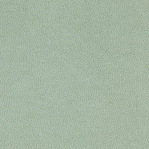 Nassimi Fabric Tolstoy Vista