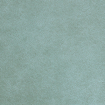 Traveler Sea Biscuit STR-014 by Nassimi Designer Fabric See sample 100% Vinyl USA or Imported Water-based cleaning agents and foam may be used for cleaning. Cleaning by a professional cleaning service is recommended.  54  - Swanky Fabrics -