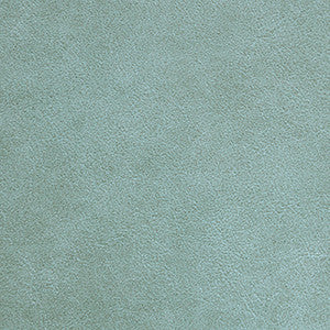 Nassimi Fabric Traveler Sea Biscuit