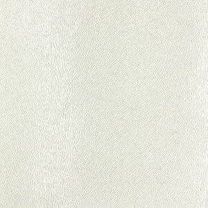 Nassimi Fabric Twain Shire
