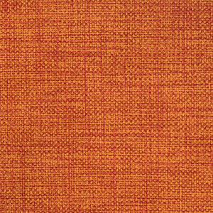Nassimi Fabric Twist Sari