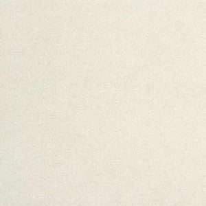Kravet Fabric Ultrasuede Abalone