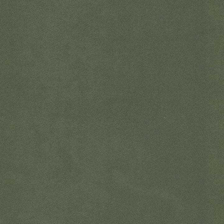 University 2 Moss by Stout Fabric Stout Fabric University 2 MossFabric SOLID VELVETS PLUSH PALETTE 100%POL CHINA </p><p>Repeat: H: 0.000, V: 0.000 60 in - Fabric Carolina -