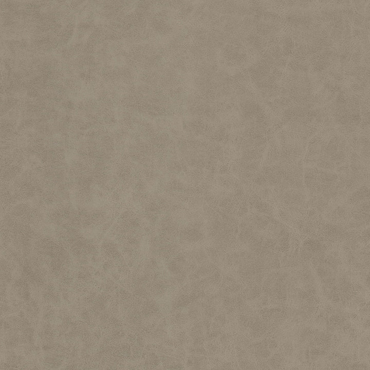 Unveil 1 Ash by Stout Fabric Stout Fabric Unveil 1 AshFabric LEATHER LOOKS V 100%PVC 1%OTH KOREA </p><p>Repeat: H: 0.000, V: 0.000 54 in - Fabric Carolina -