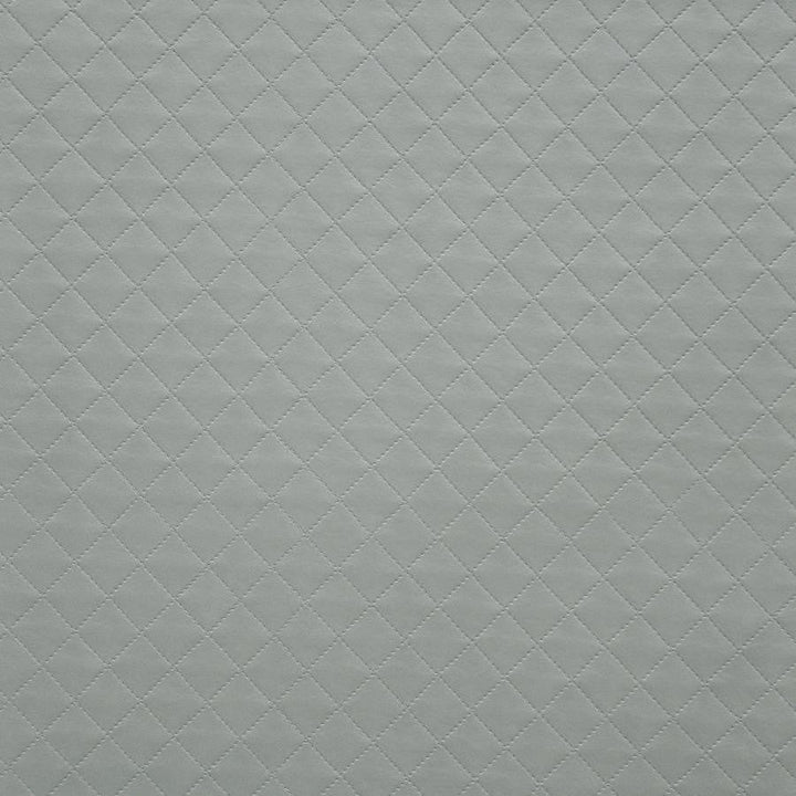Voila # 205 Spa by Maxwell Designer Fabric Easy Rider V 100% PVC TAIWAN V&H-1.5" 54" - Swanky Fabrics -