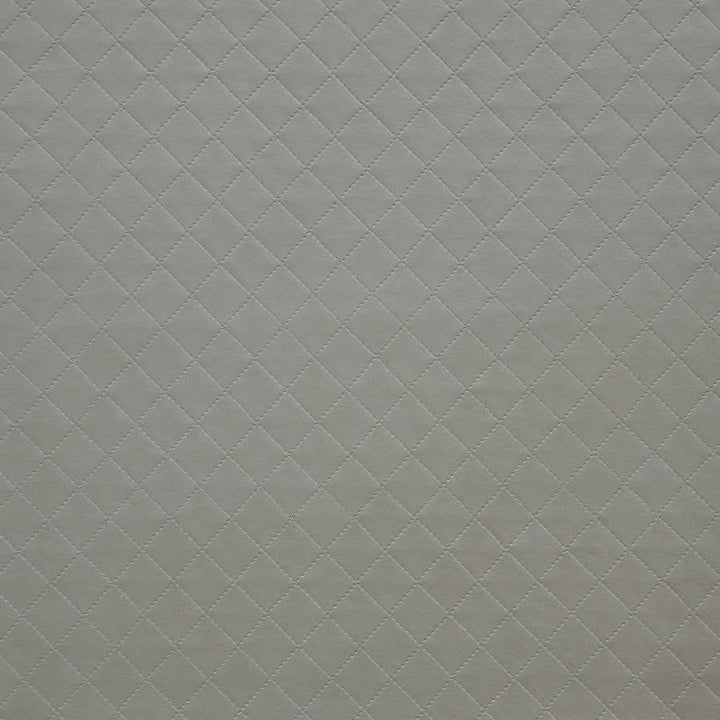 Voila # 248 Mica by Maxwell Designer Fabric Easy Rider V 100% PVC TAIWAN V&H-1.5" 54" - Swanky Fabrics -