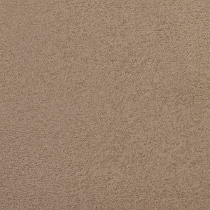V109 Sandstone by Charlotte Designer Fabric Value Vinyl 100% Vinyl, 29oz. Lead Free Asia Exceeds 100,000 Wyzenbeek Rubs (Heavy Duty) No Repeat 54 Inches - Swanky Fabrics -