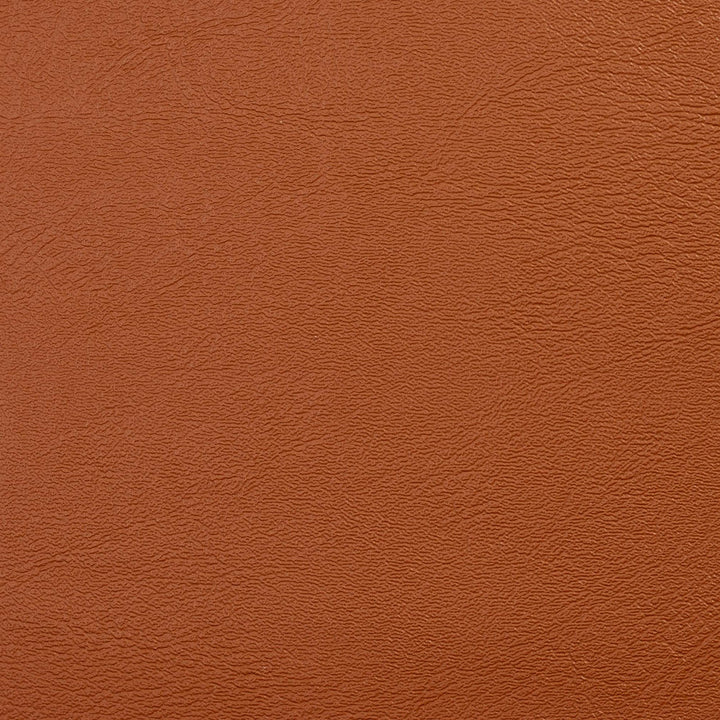 V118 Saddle by Charlotte Designer Fabric Value Vinyl 100% Vinyl, 29oz. Lead Free Asia Exceeds 100,000 Wyzenbeek Rubs (Heavy Duty) No Repeat 54 Inches - Swanky Fabrics -
