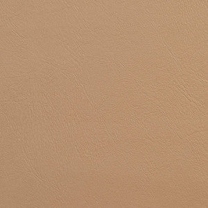 Charlotte Fabric V139 Buff