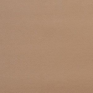 Charlotte Fabric V143 Sandalwood