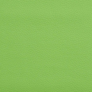 Charlotte Fabric V164 Lime