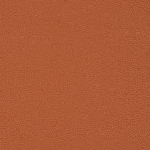Charlotte Fabric V203 Sienna