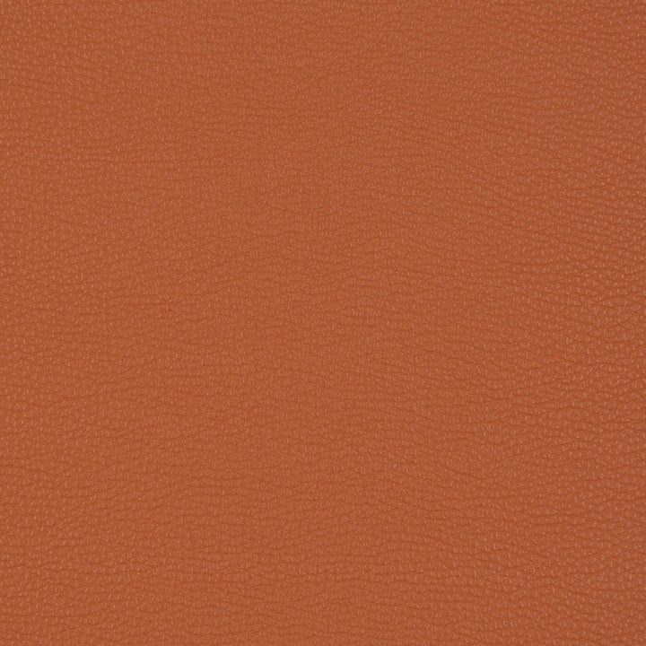 V203 Sienna by Charlotte Designer Fabric UltraHyde III Face: Vinyl/Polyurethane, Back: Polyester Microsuede, 29oz. Asia Exceeds 2,000,000 Wyzenbeek Double Rubs (Heavy Duty) </p><p>Repeat: 54 Inches - Swanky Fabrics -