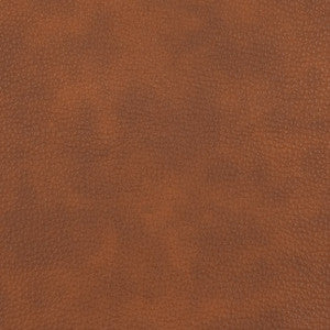 Charlotte Fabric V207 Acorn