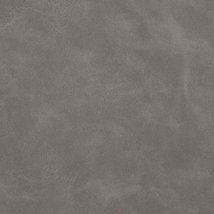 Charlotte Fabric V218 Slate