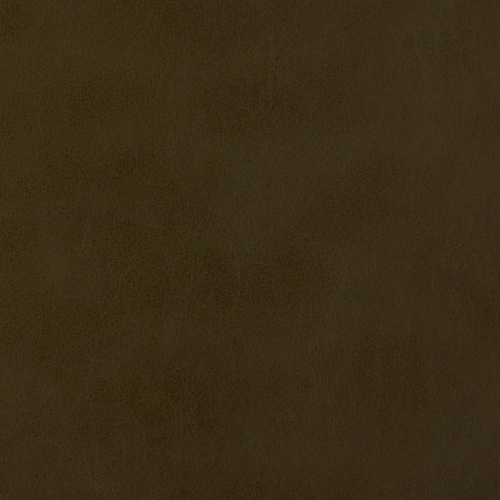 V228 Caper by Charlotte Designer Fabric UltraHyde III Face: Vinyl/Polyurethane, Back: Polyester Microsuede, 29oz. Asia Exceeds 2,000,000 Wyzenbeek Double Rubs (Heavy Duty) </p><p>Repeat: 54 Inches - Swanky Fabrics -
