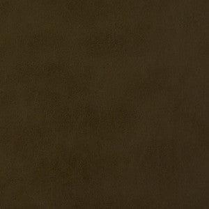 Charlotte Fabric V228 Caper