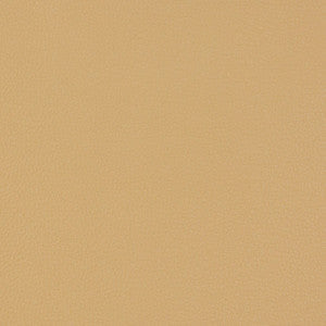 Charlotte Fabric V229 Beach