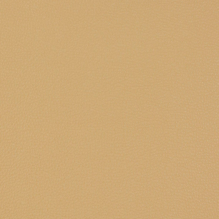 V229 Beach by Charlotte Designer Fabric UltraHyde III Face: Vinyl/Polyurethane, Back: Polyester Microsuede, 29oz. Asia Exceeds 2,000,000 Wyzenbeek Double Rubs (Heavy Duty) </p><p>Repeat: 54 Inches - Swanky Fabrics -