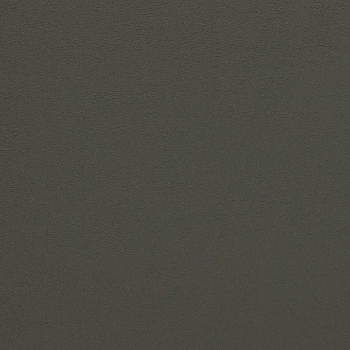 V281 Charcoal by Charlotte Designer Fabric Contract Vinyl 100% Virgin Vinyl, 34oz. Costa Rica Exceeds 200,000 Wyzenbeek Rubs (Heavy Duty) No Repeat 54 Inches - Swanky Fabrics -
