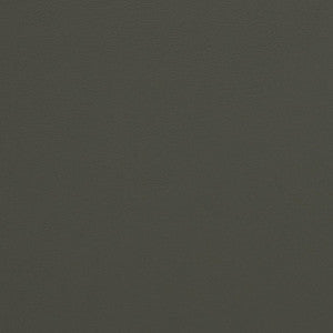 Charlotte Fabric V281 Charcoal