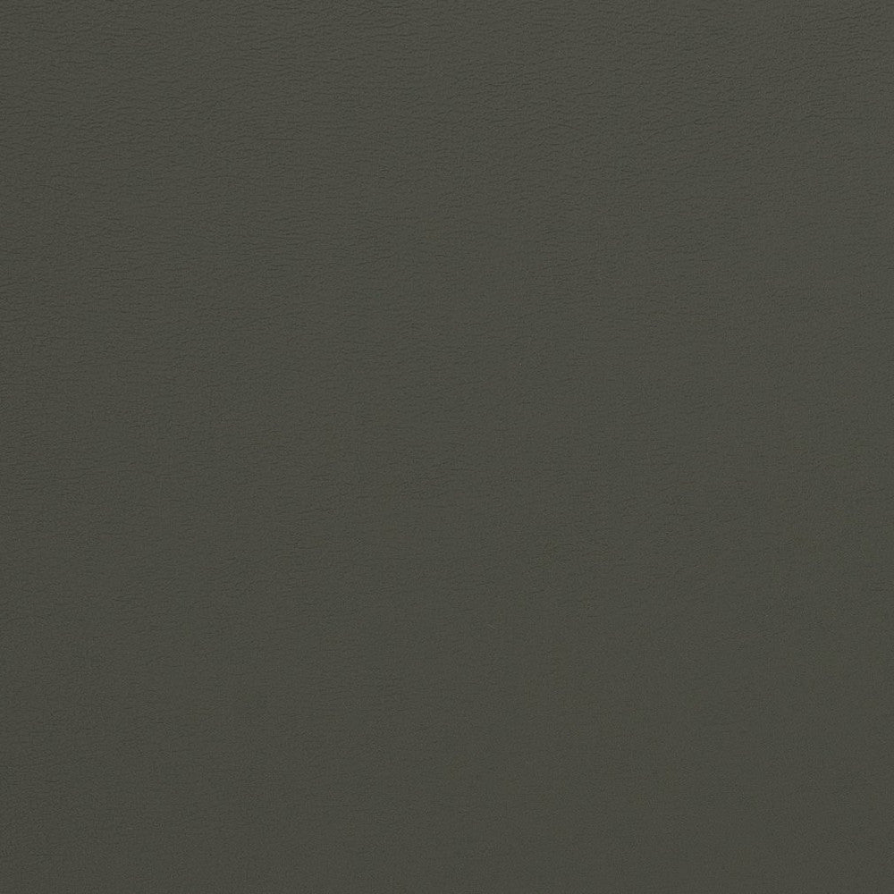 V281 Charcoal by Charlotte Designer Fabric Contract Vinyl 100% Vinyl, 34oz. Costa Rica Exceeds 200,000 Wyzenbeek Rubs (Heavy Duty) </p><p>Repeat: 54 Inches - Swanky Fabrics -