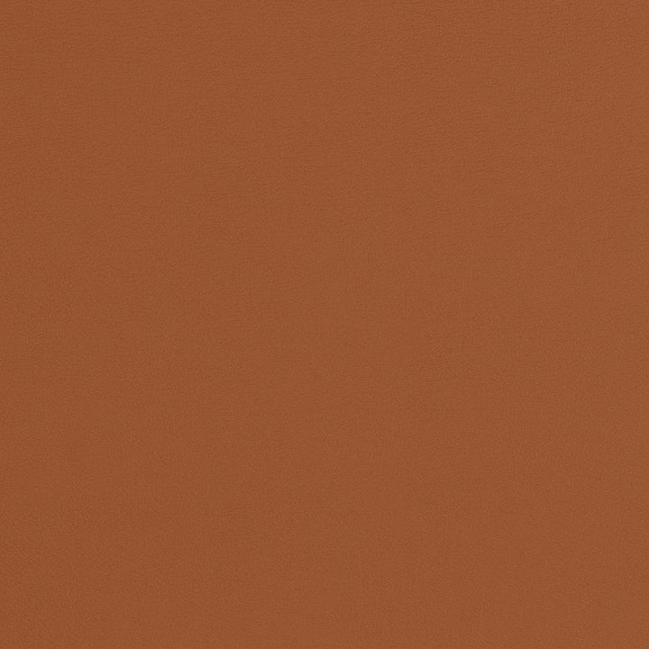 V285 Cognac by Charlotte Designer Fabric Contract Vinyl 100% Virgin Vinyl, 34oz. Costa Rica Exceeds 200,000 Wyzenbeek Rubs (Heavy Duty) No Repeat 54 Inches - Swanky Fabrics -
