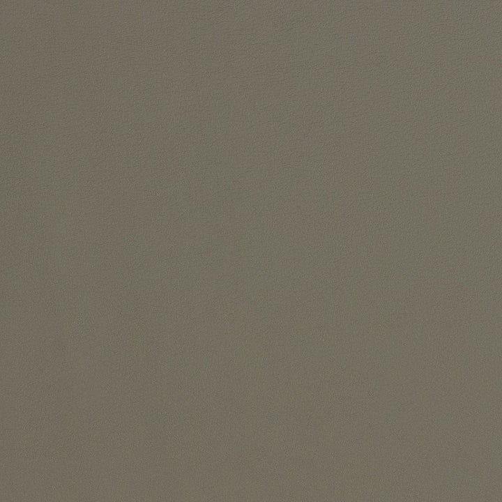 V287 Pewter by Charlotte Designer Fabric Contract Vinyl 100% Vinyl, 34oz. Costa Rica Exceeds 200,000 Wyzenbeek Rubs (Heavy Duty) </p><p>Repeat: 54 Inches - Swanky Fabrics -