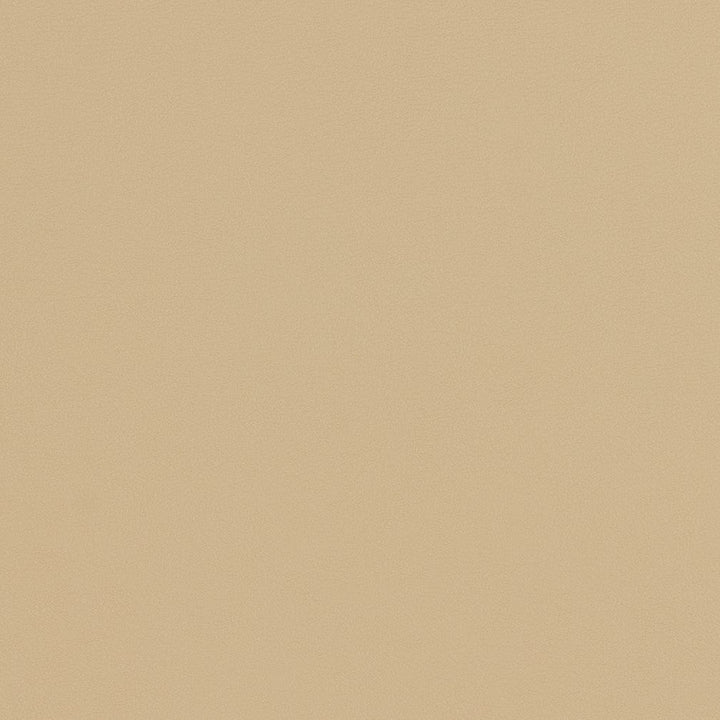 V301 Natural by Charlotte Designer Fabric Contract Vinyl 100% Virgin Vinyl, 34oz. Costa Rica Exceeds 200,000 Wyzenbeek Rubs (Heavy Duty) No Repeat 54 Inches - Swanky Fabrics -