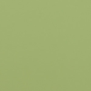 Charlotte Fabric V307 Meadow